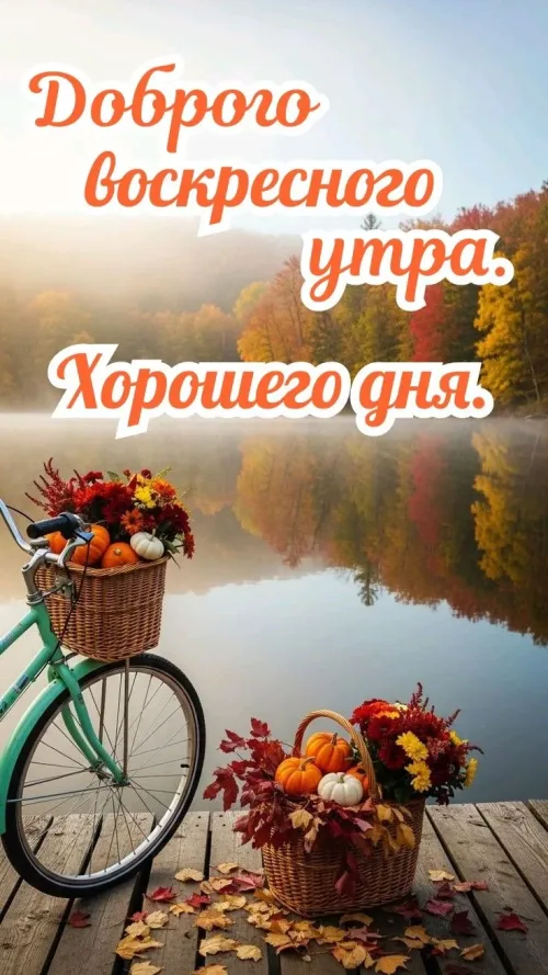 Открытка с осенним утром и велосипедом