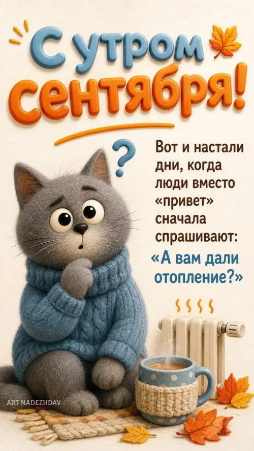 Открытка с утром сентябрь кот в свитере
