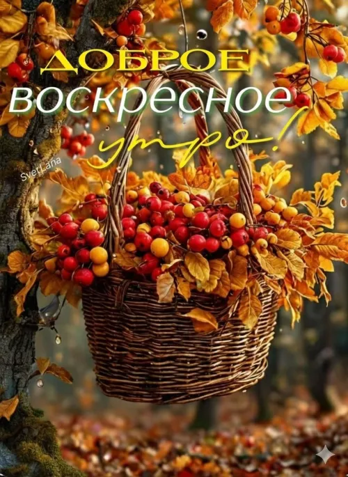 Открытка с доброе воскресное утро осенью