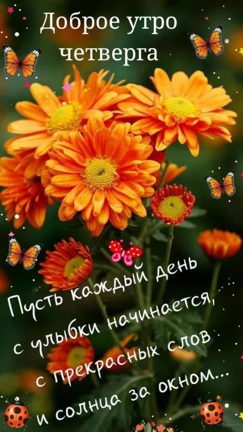 Открытка с доброе утро четверга и цветами