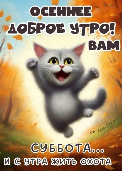 Открытка с доброе утро осенью и котом