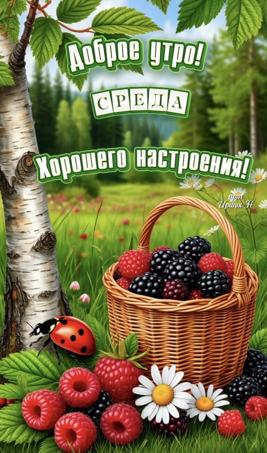 Открытка