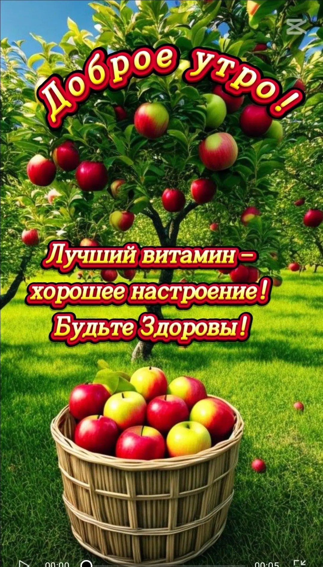 Открытка