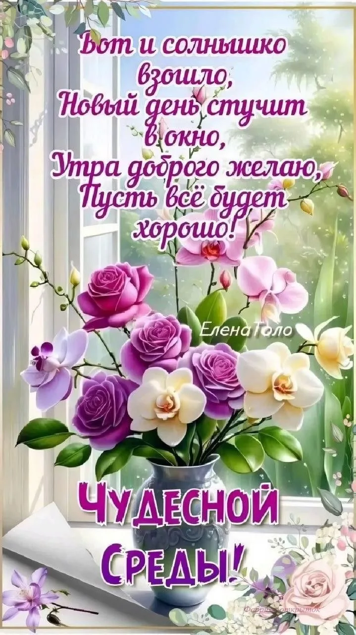 Image 31560048461