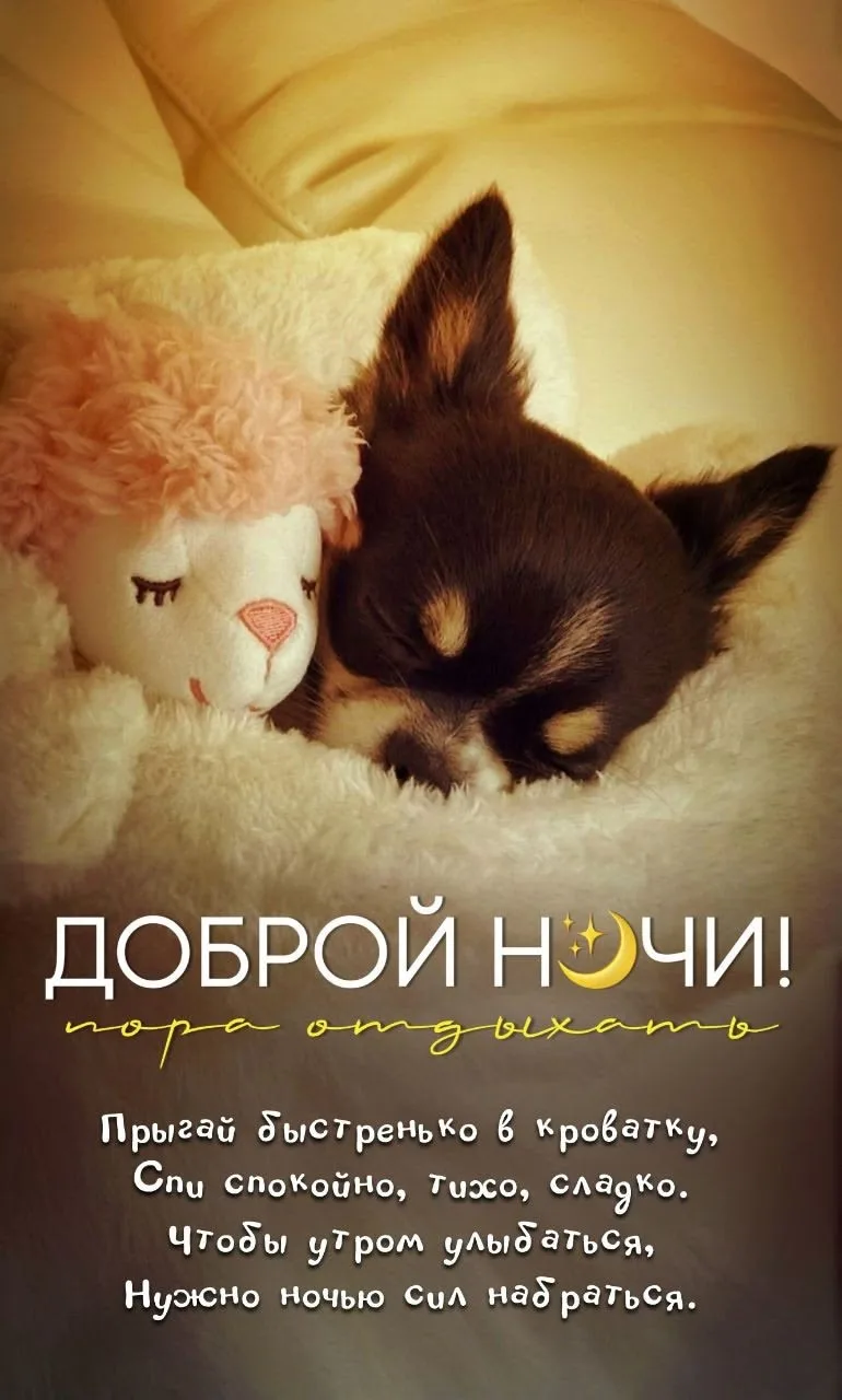 Открытка