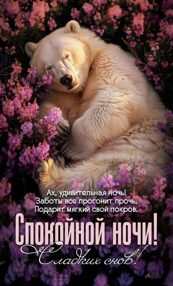 Открытка