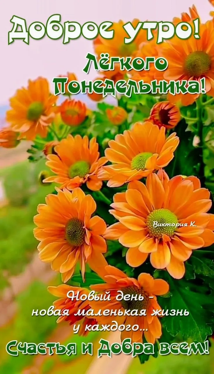 Изображение 33578004813