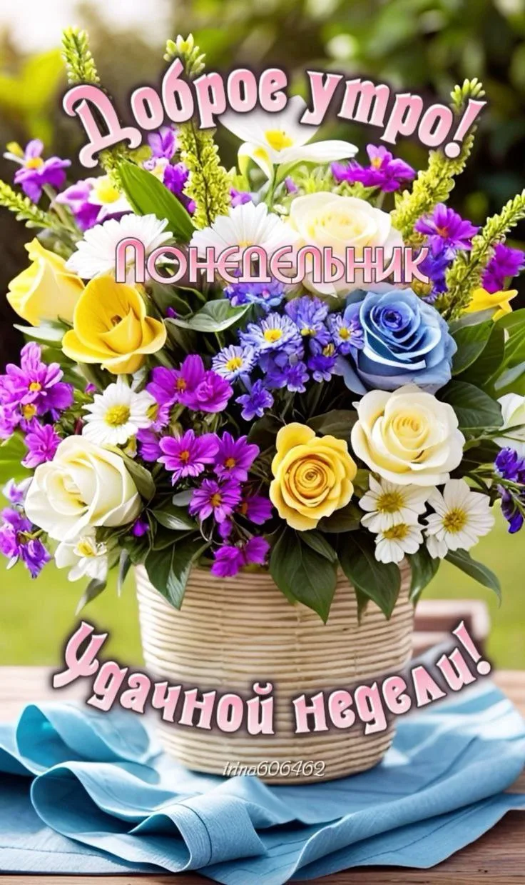 Изображение 33680105074