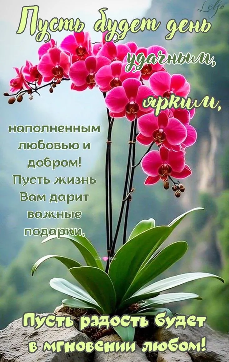 Изображение 33680133746