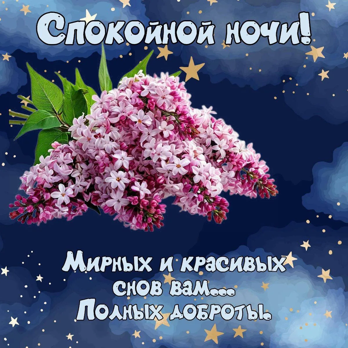 Image 33706871496