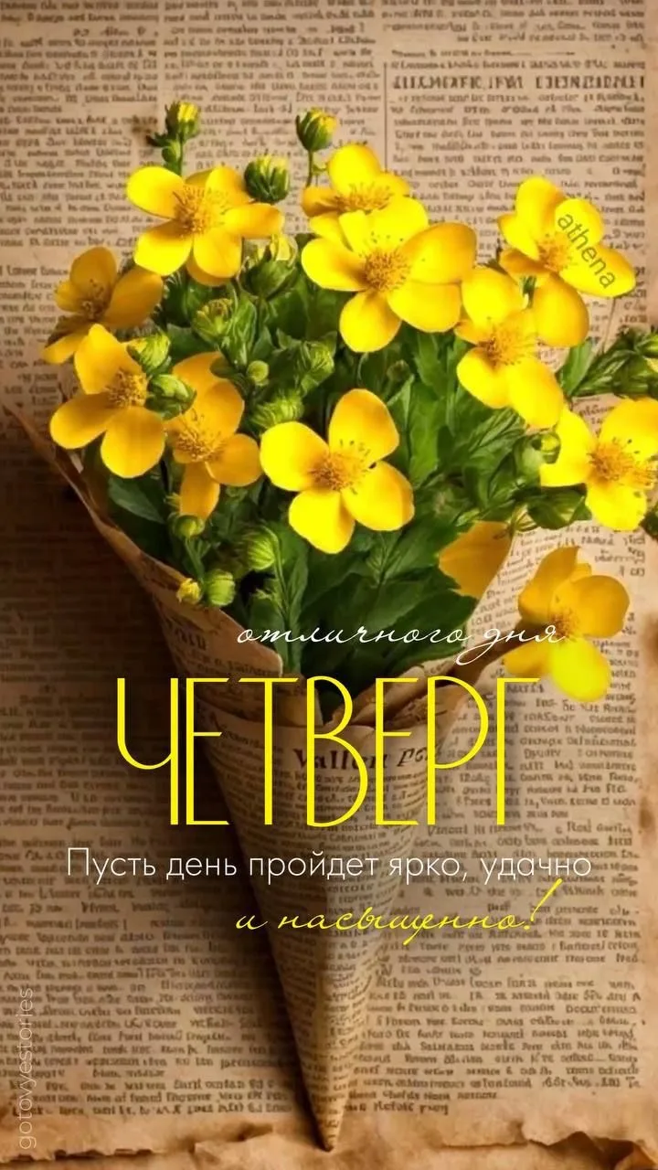 Изображение 33894352584