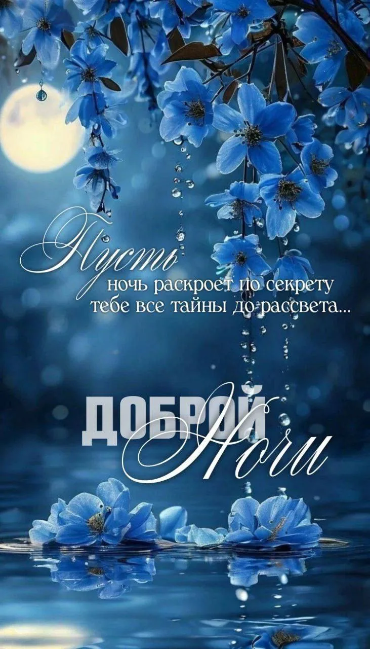 Image 34557471090