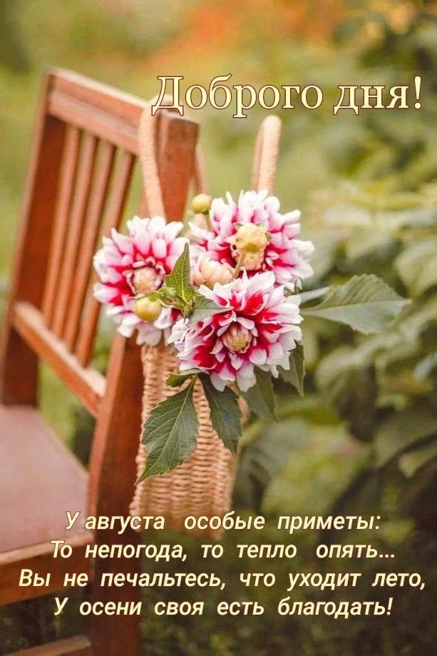 Image 34712865138
