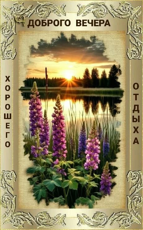 Открытка
