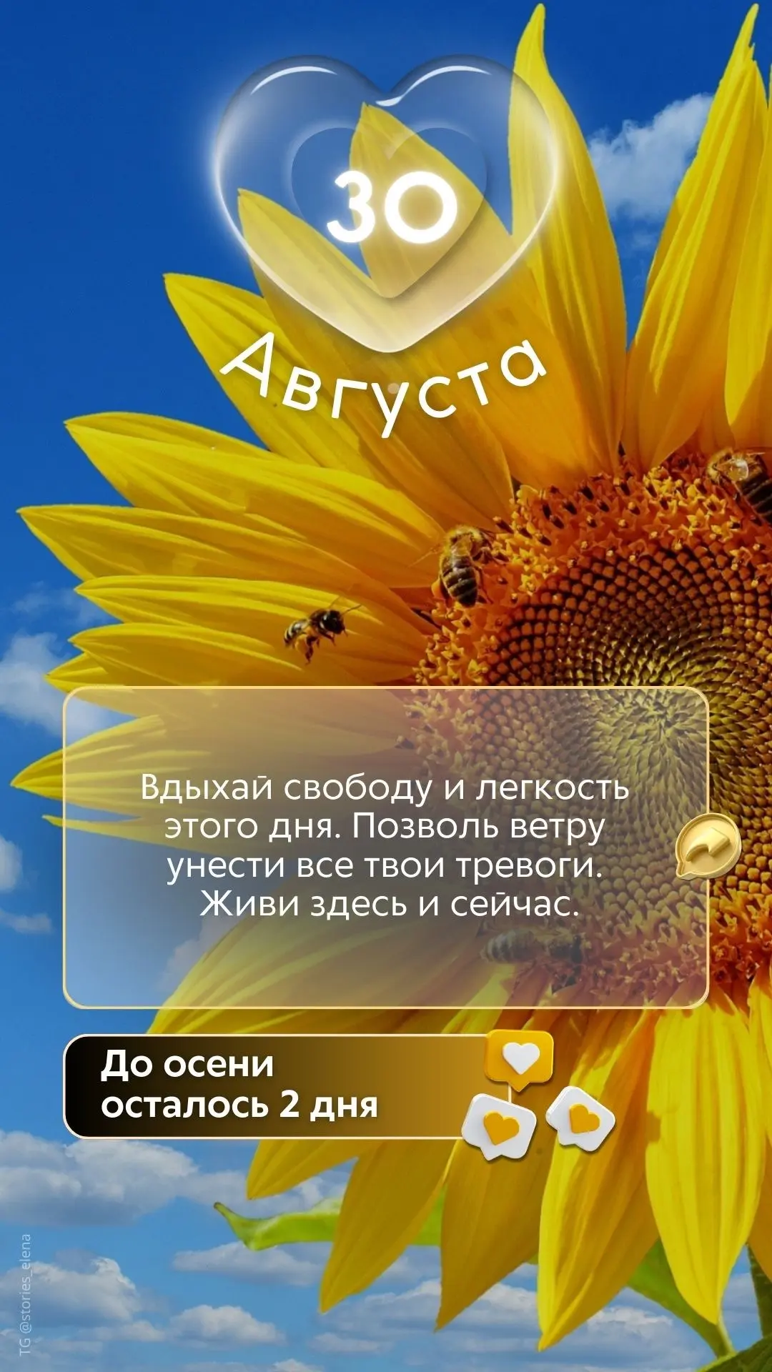 Image 35141938964