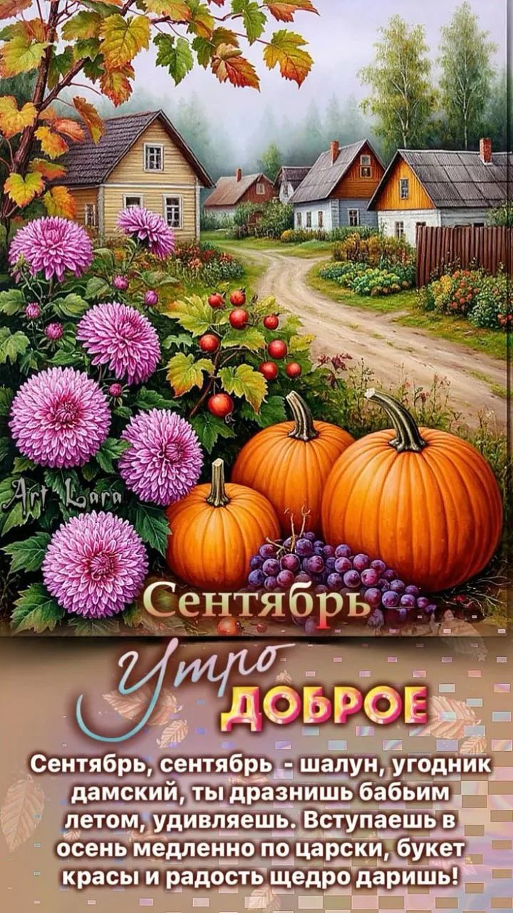 Открытка