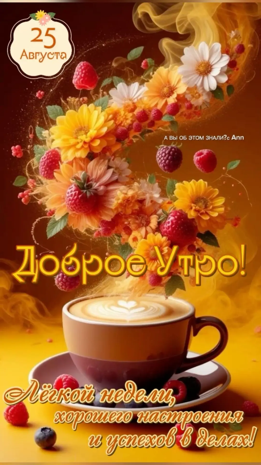 Изображение 35682315464