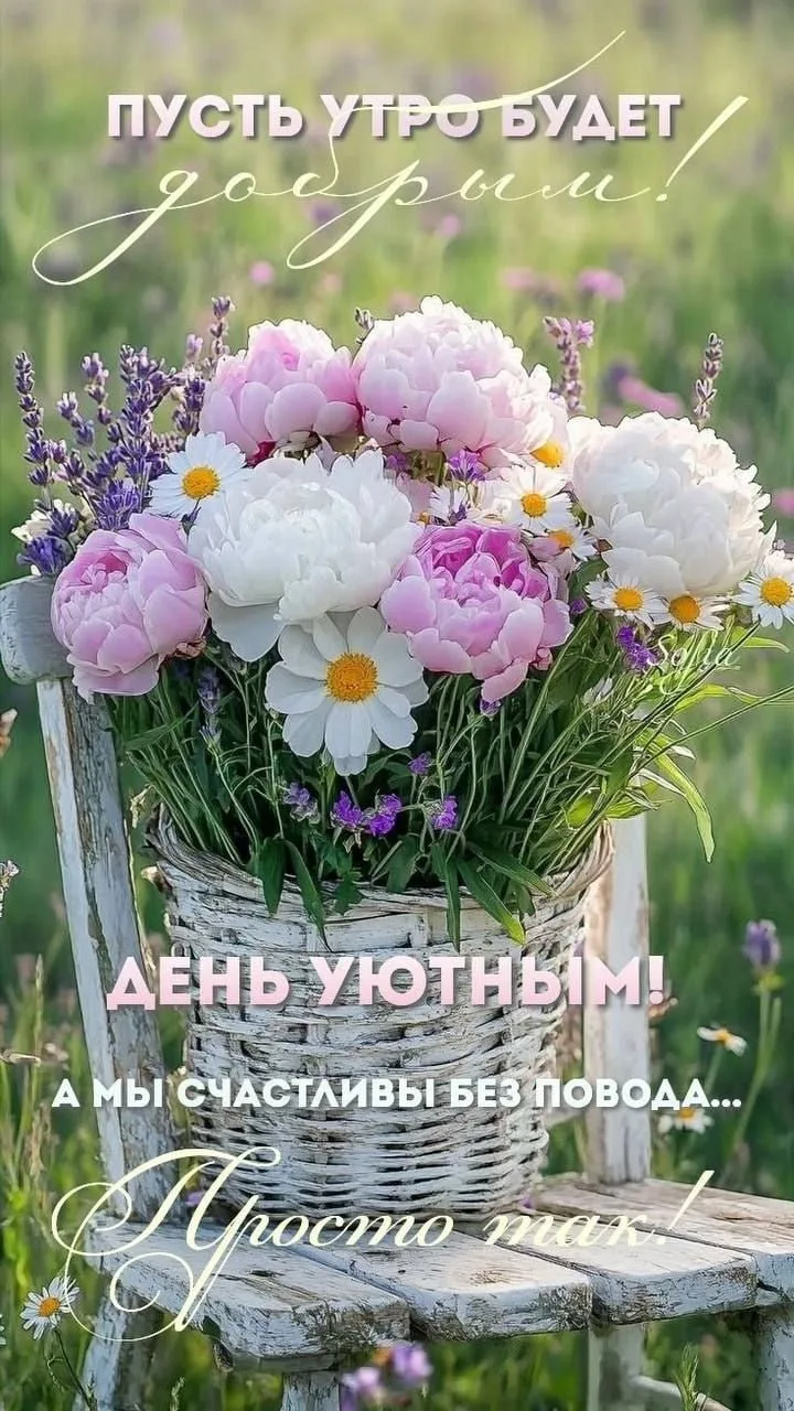 Изображение 35864313458