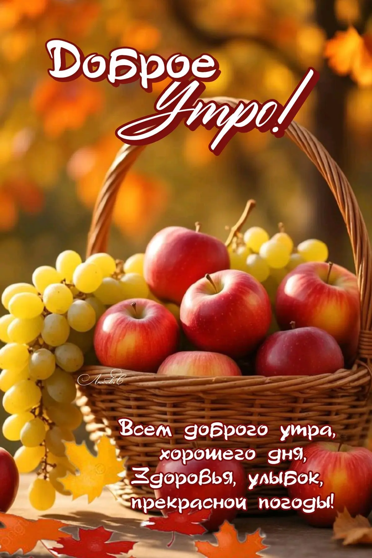 Изображение 35912369997