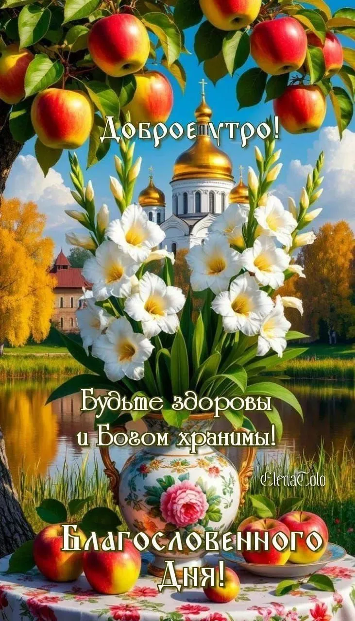 Image 36636585080