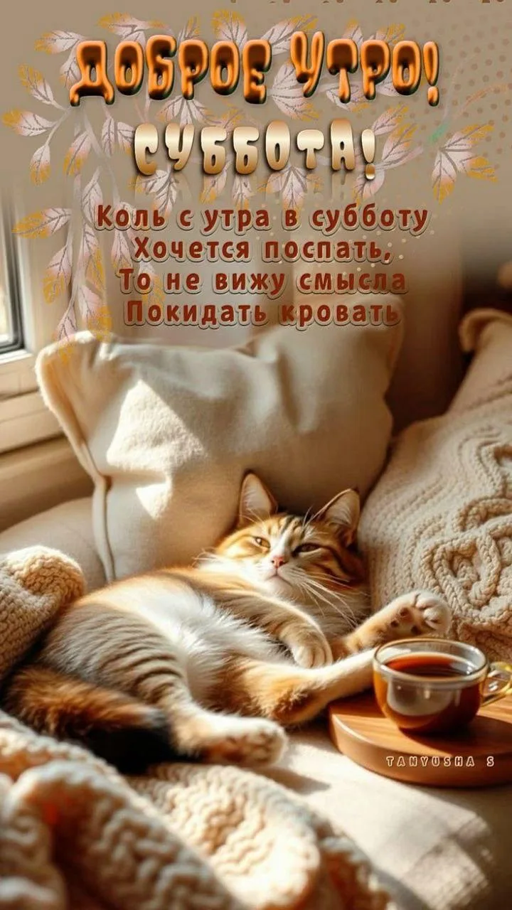 Изображение 37082554738