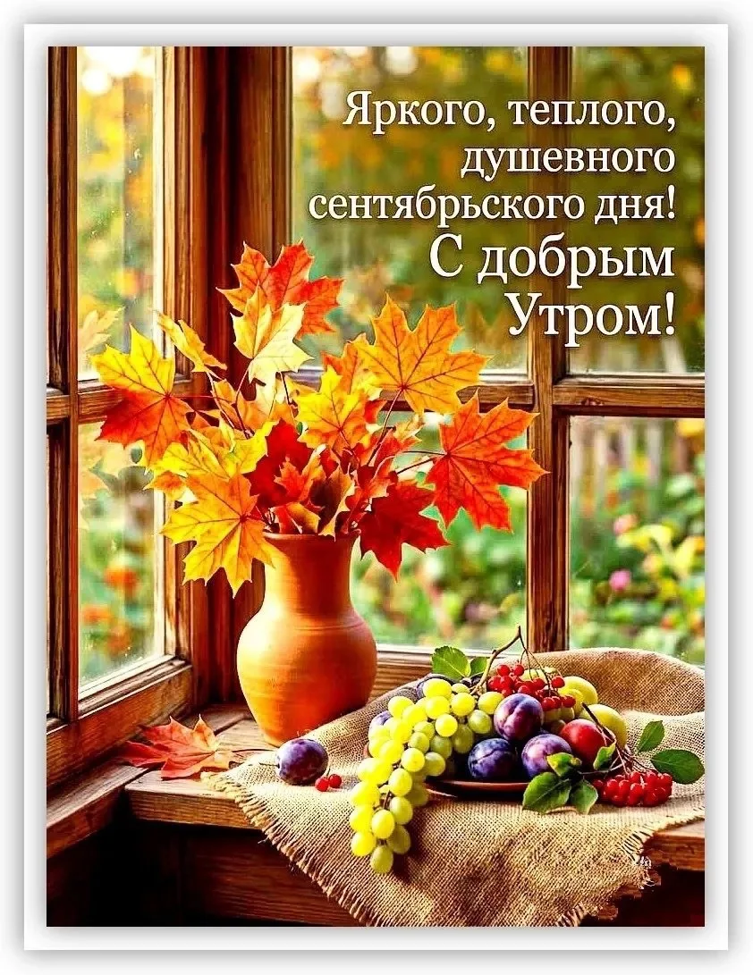 Изображение 38161047089