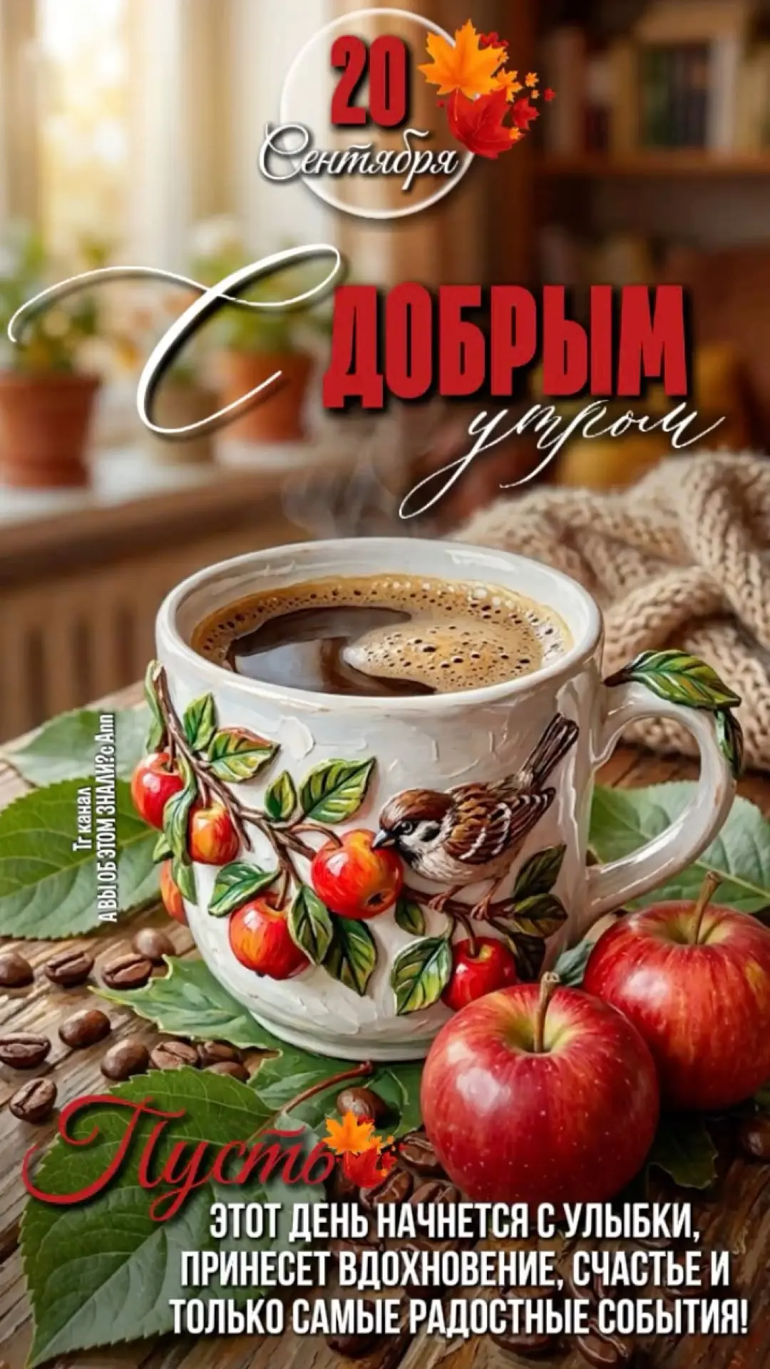 Изображение 38363512397