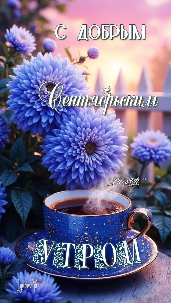 Изображение 38363578957