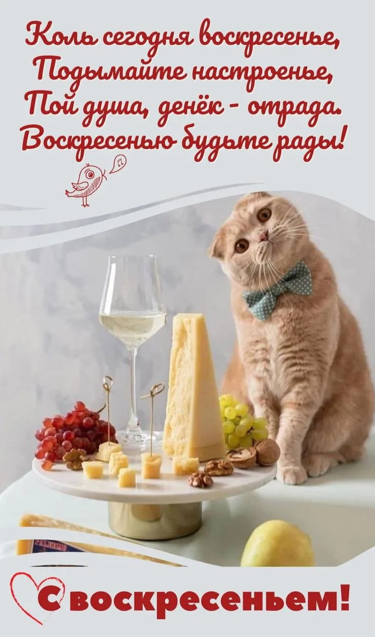 Изображение 38468697464