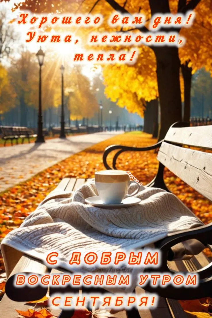 Изображение 38494373490