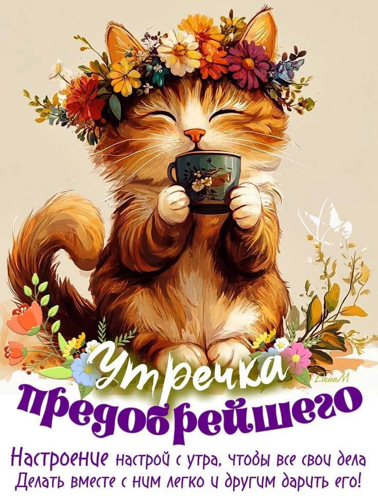 Изображение 38494455154