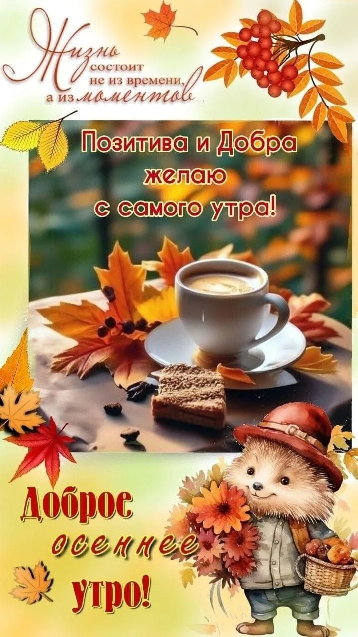 Изображение 38550351992