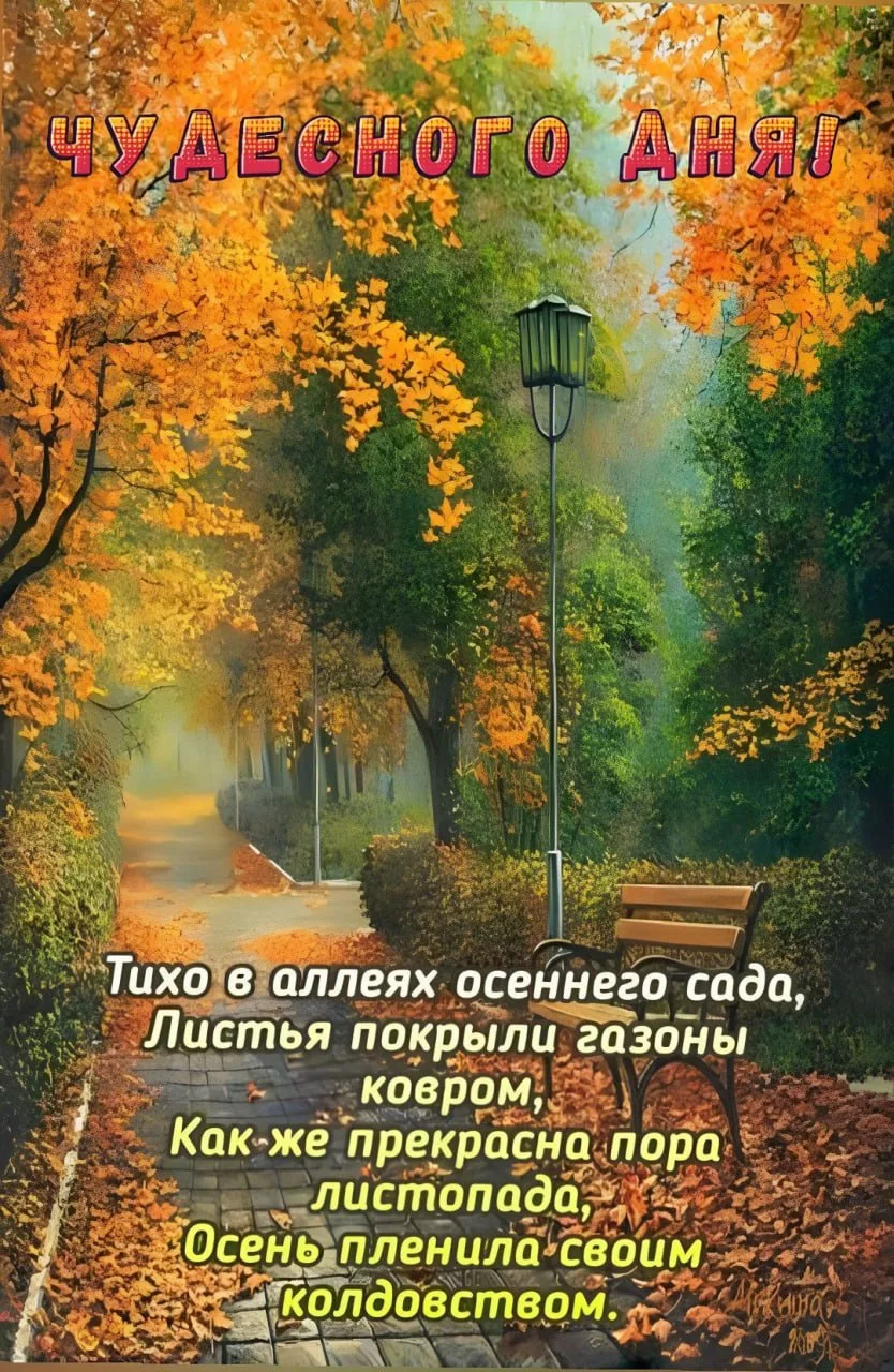 Изображение 38550515832