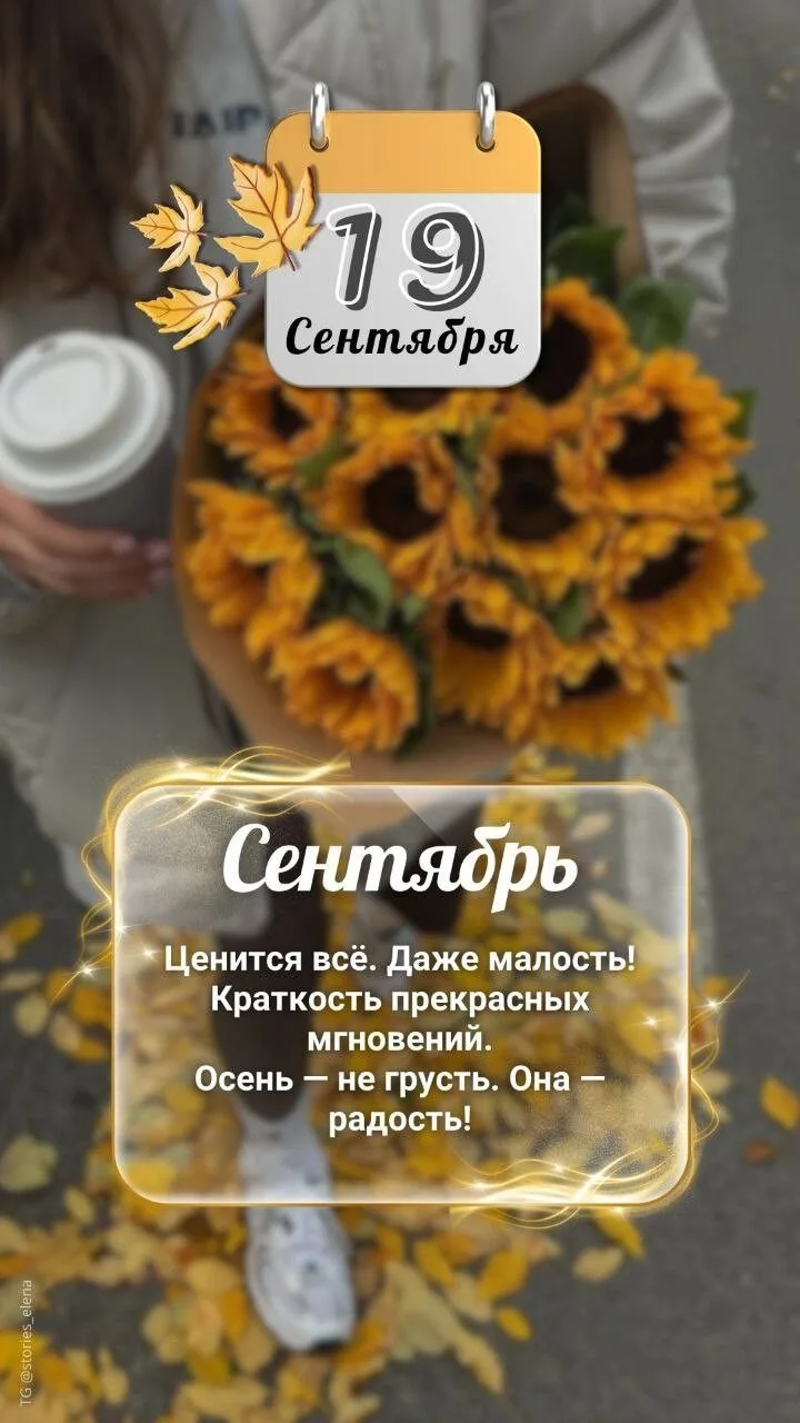Изображение 38714344212