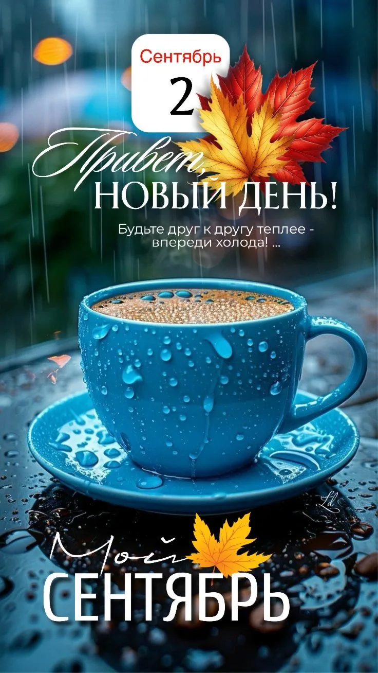 Изображение 39100844232