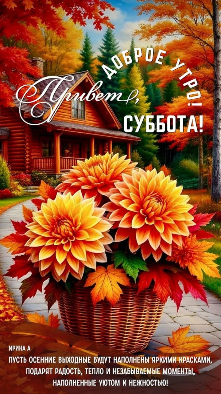 Открытка