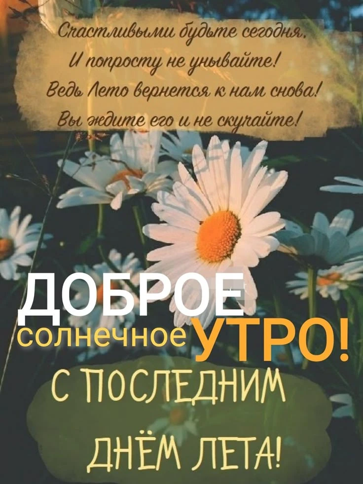 Image 41343055328