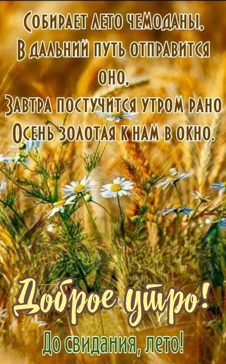 Image 41347165408