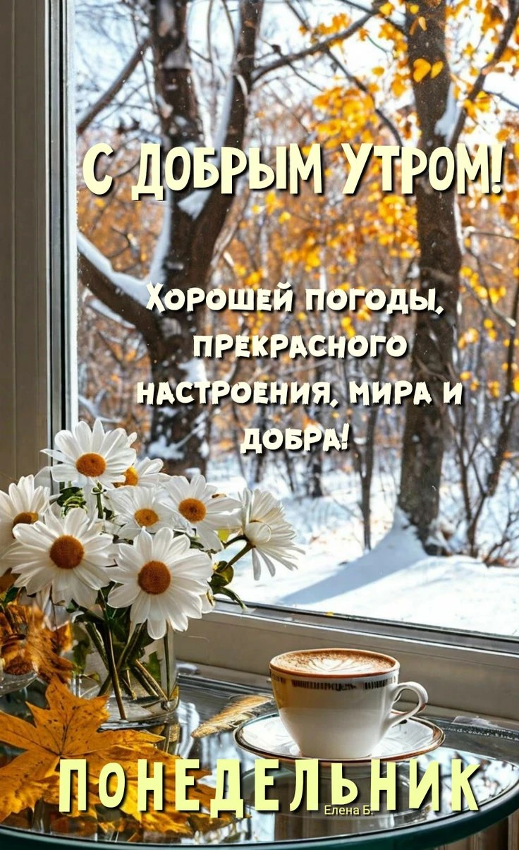 Изображение 42516585330