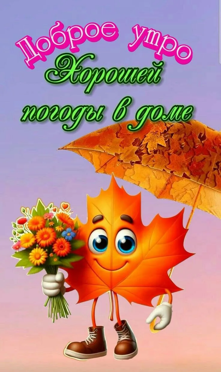Изображение 43161879776