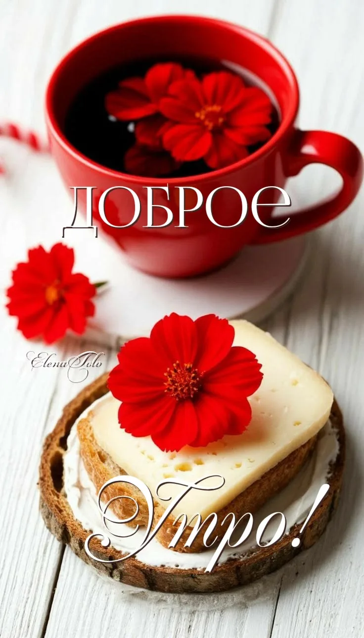 Изображение 43162706656