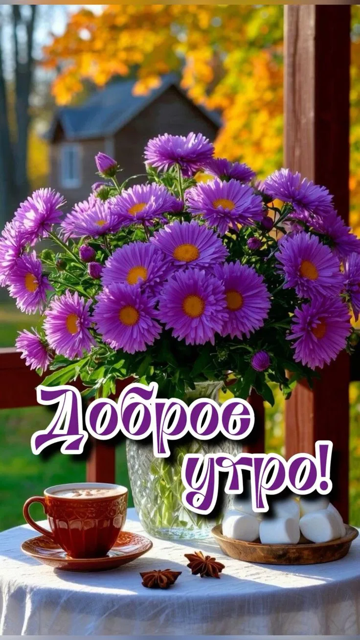 Изображение 43178056928
