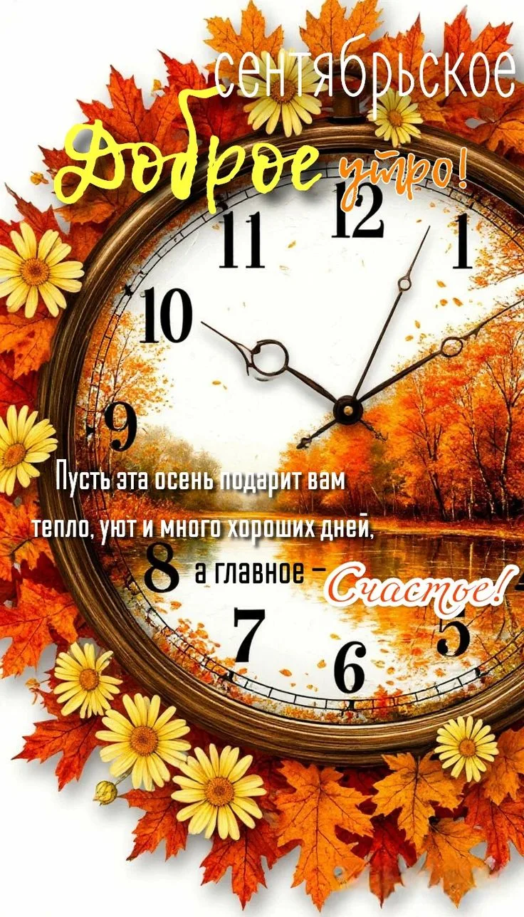 Изображение 43496376800