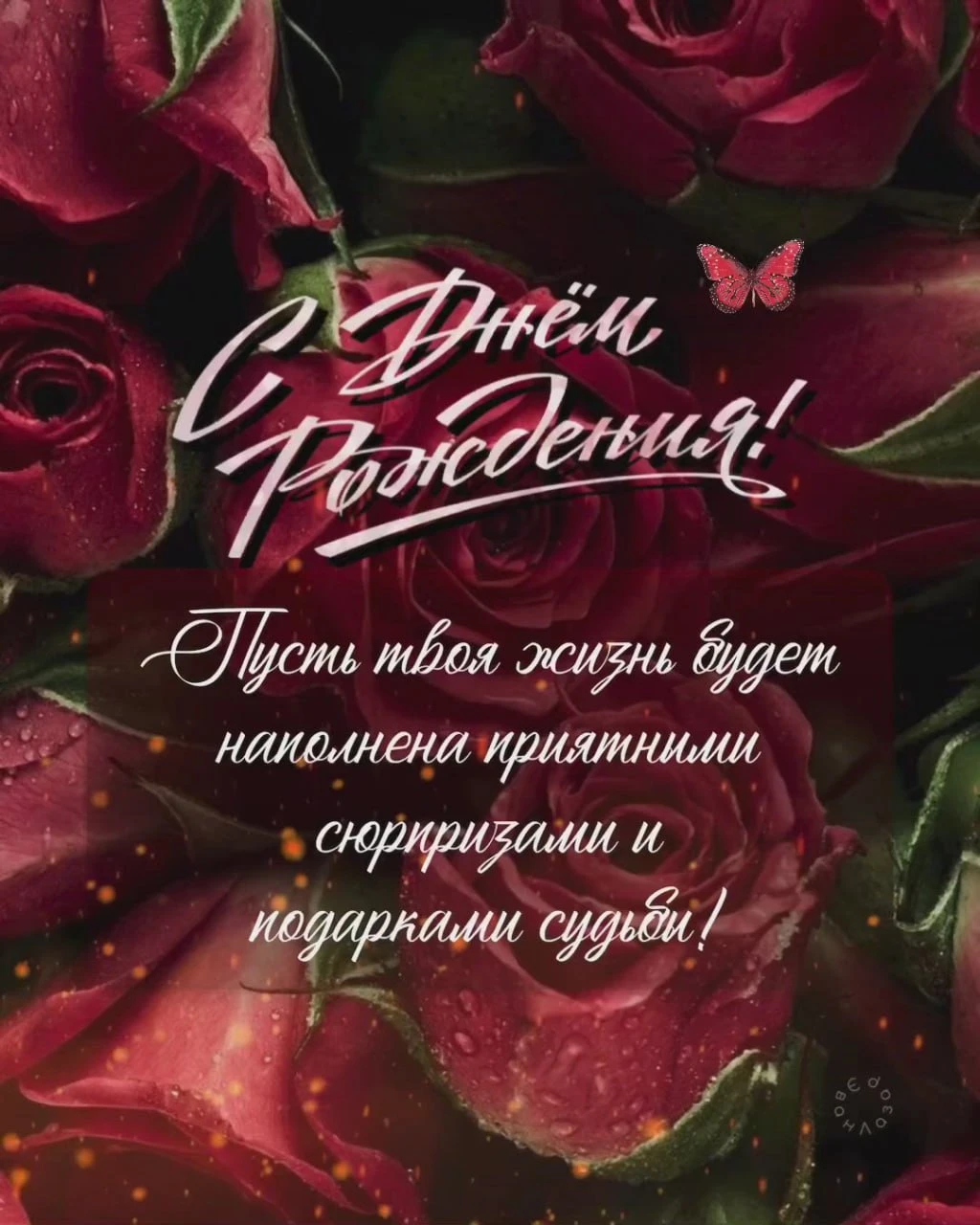 Изображение 44003912818