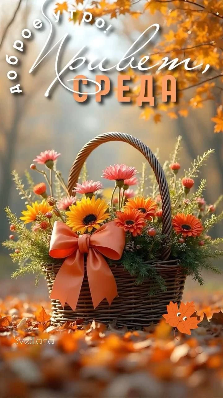 Изображение 44199503986