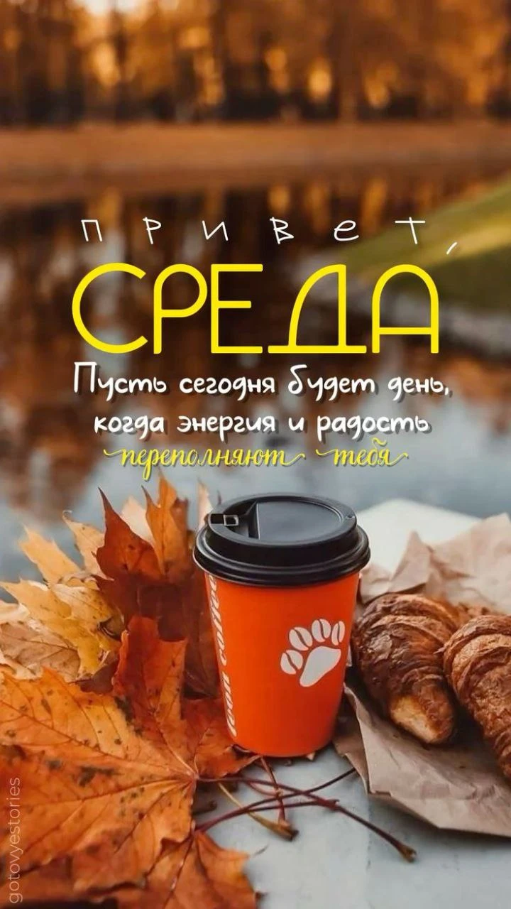 Изображение 44199521906