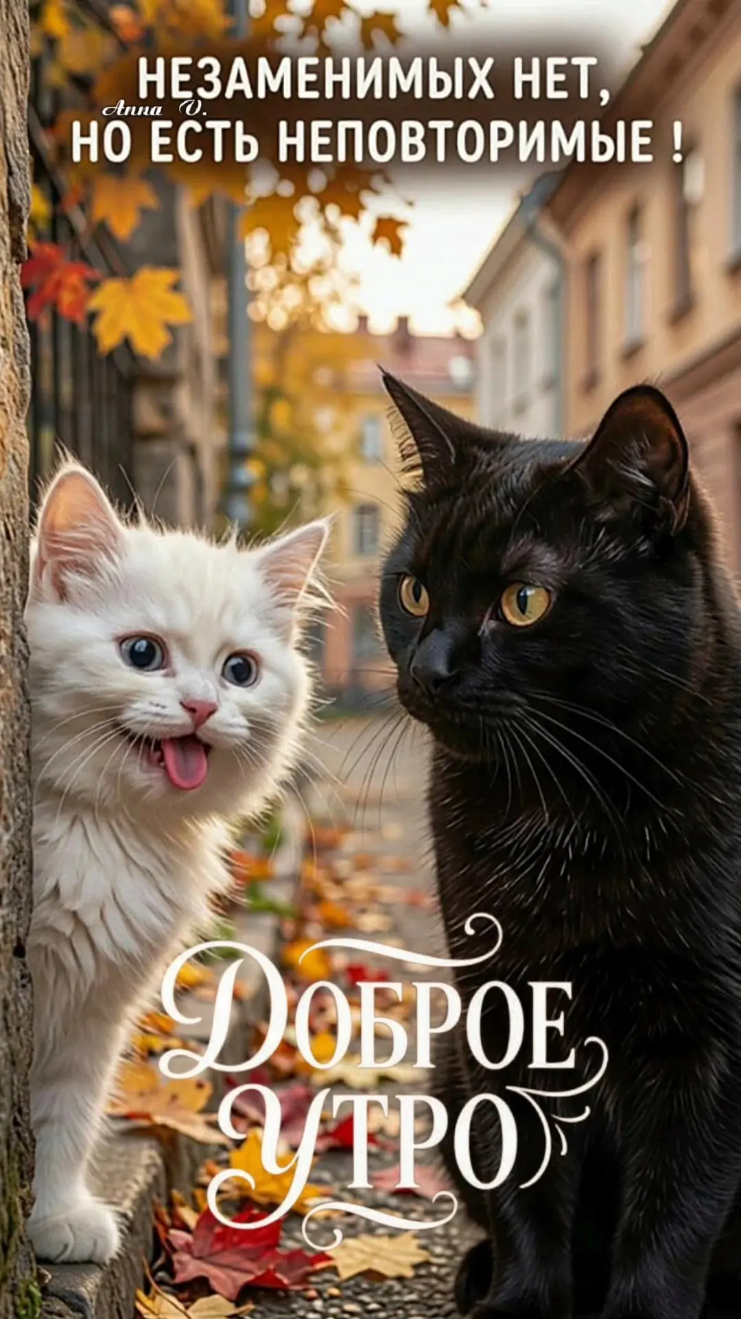 Изображение 44882261581