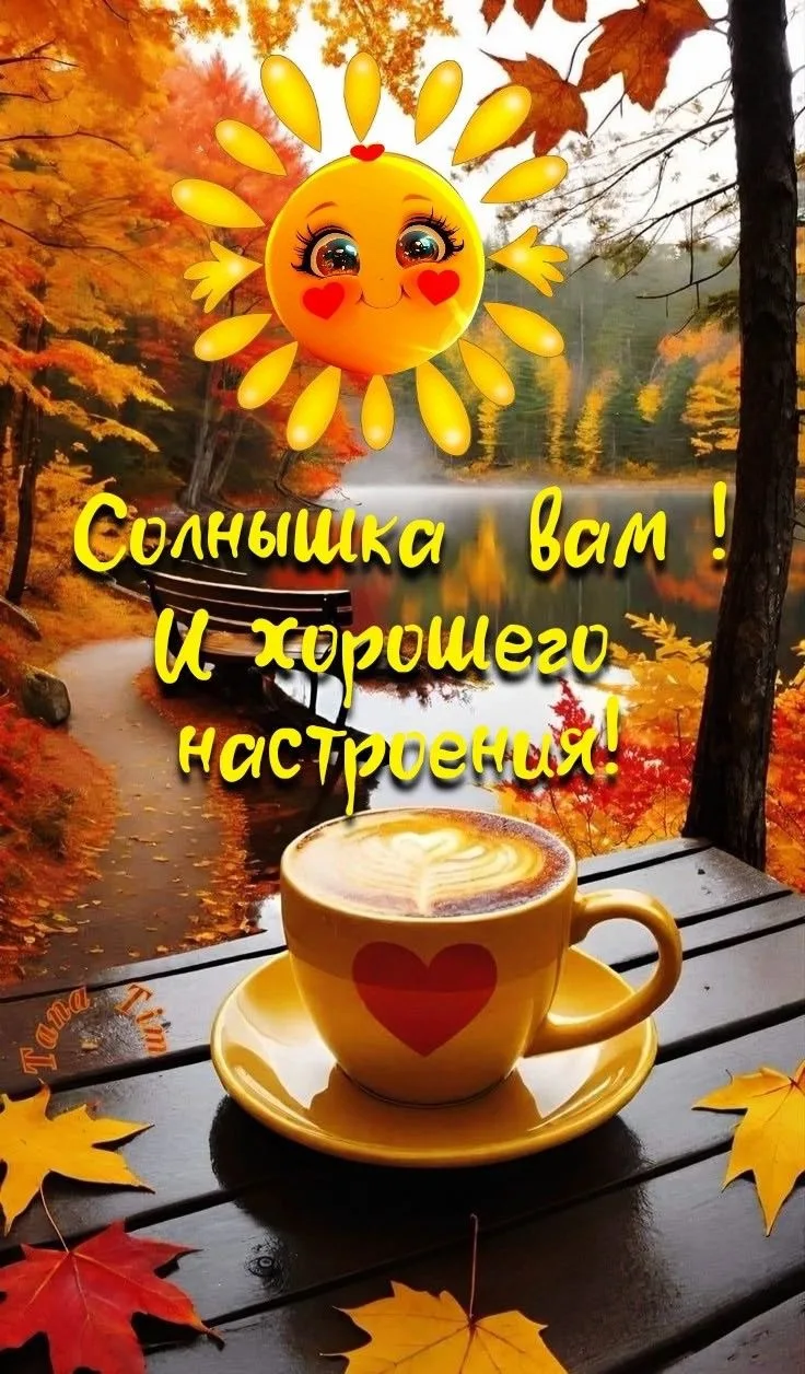 Изображение 45062191693