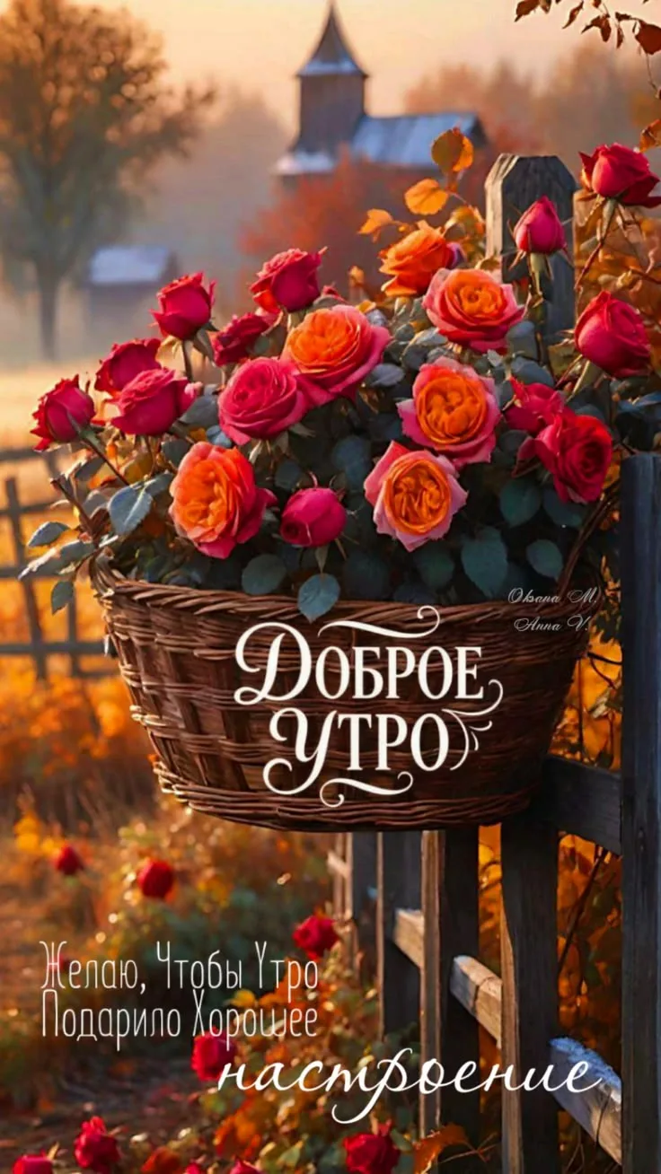 Изображение 45358164192