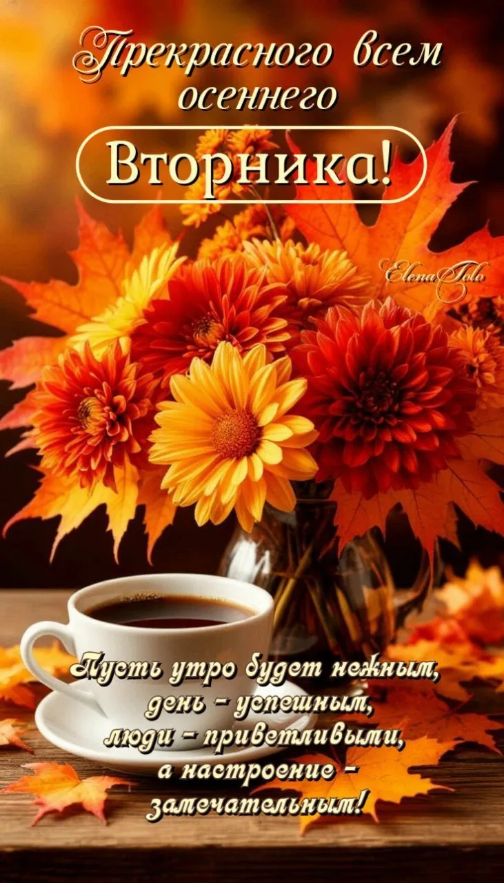 Изображение 49239175173